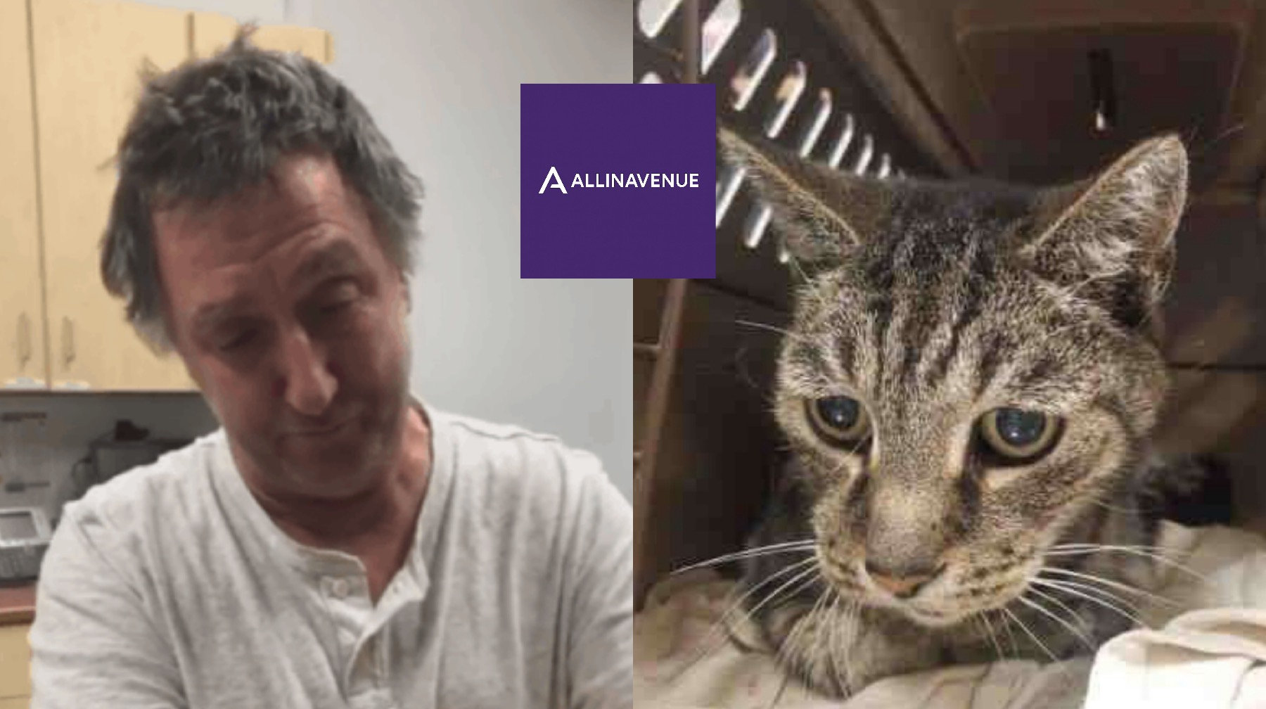 Heartwarming story about how the friendship between a human and an animal can reunite them again, even after many years…