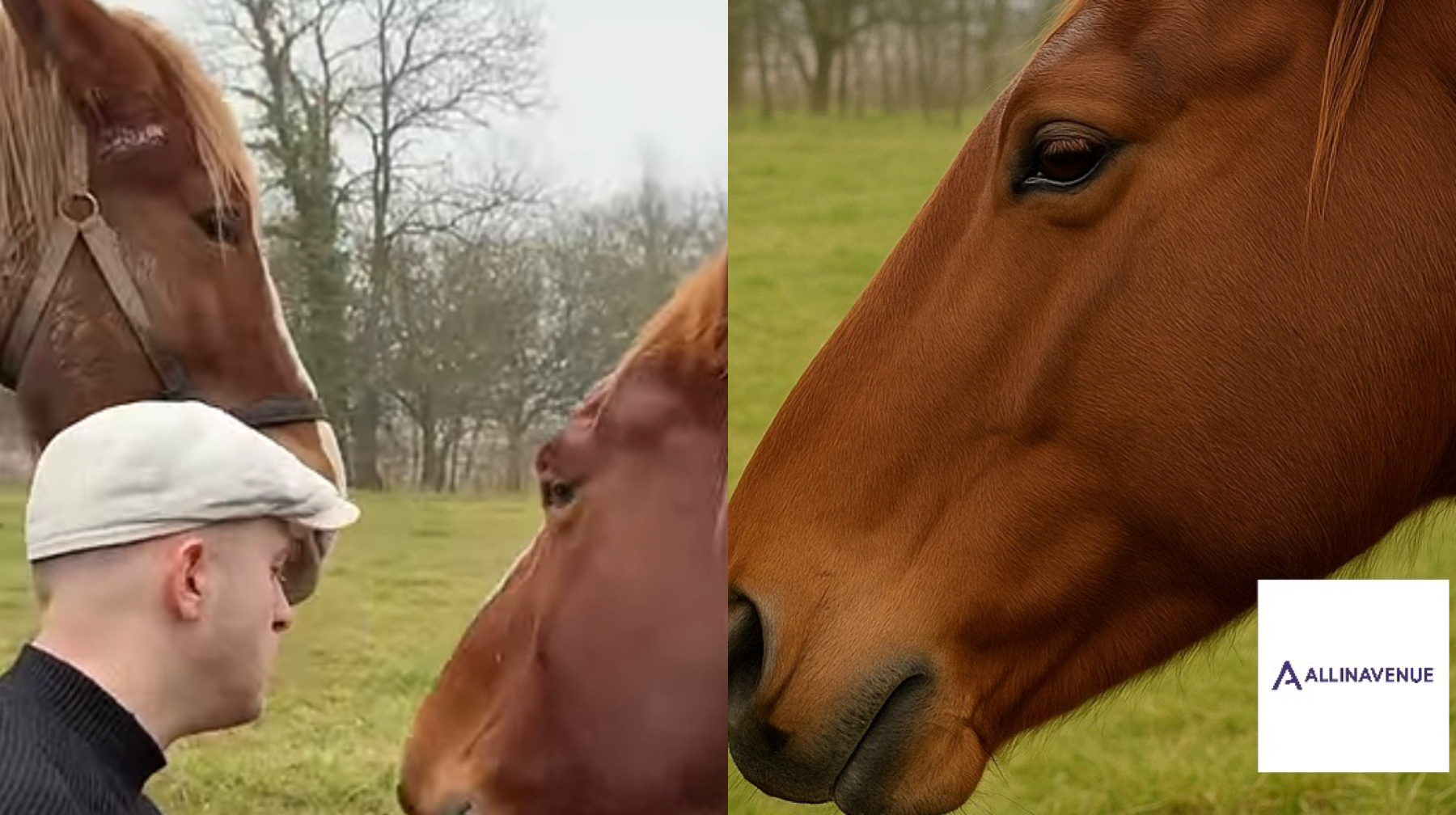 The animals’ reaction to the man’s music was utterly sweet and full of heart.