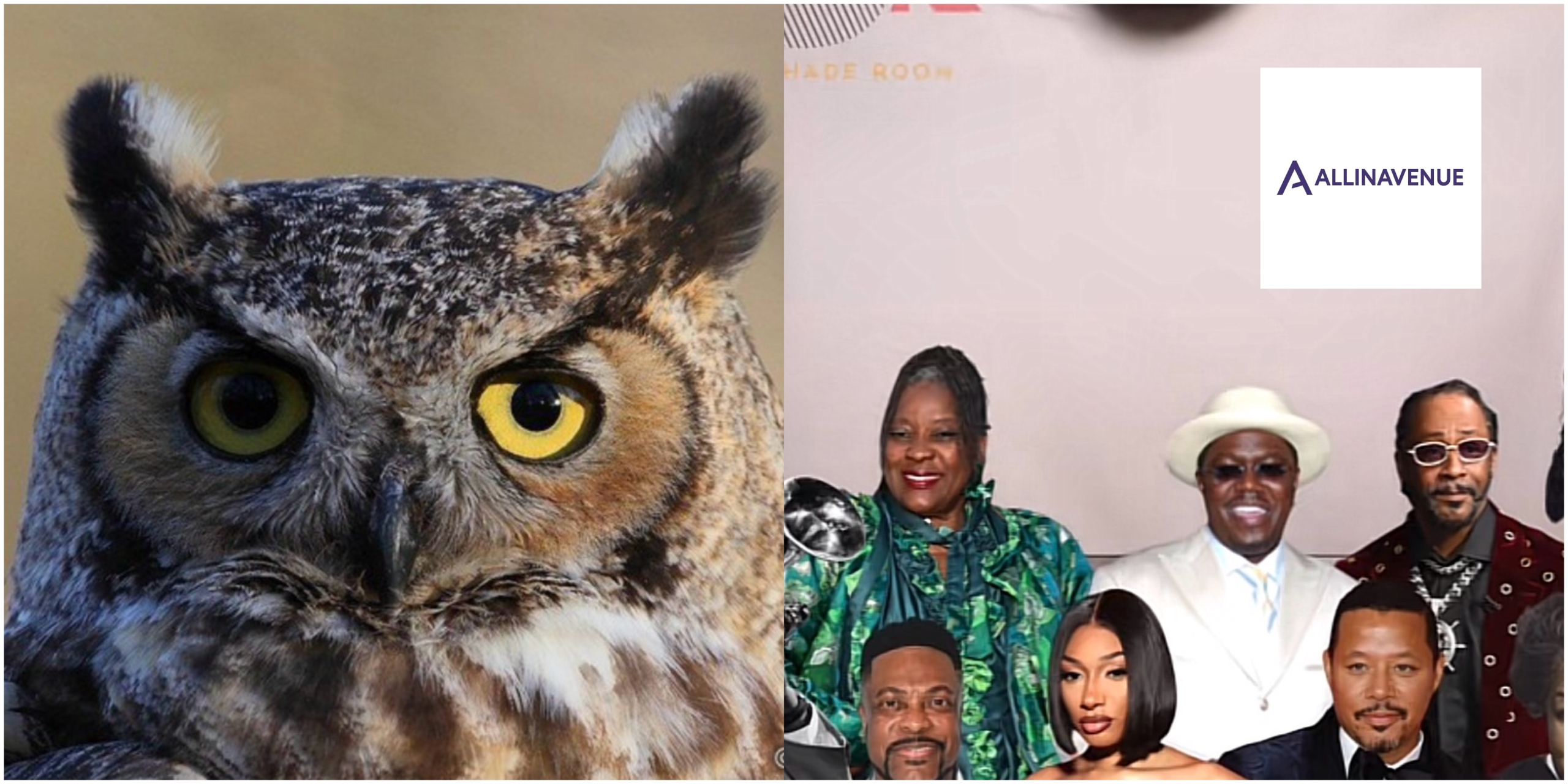‘Why Everyone on TikTok Is Suddenly Pretending to Be an Owl’.