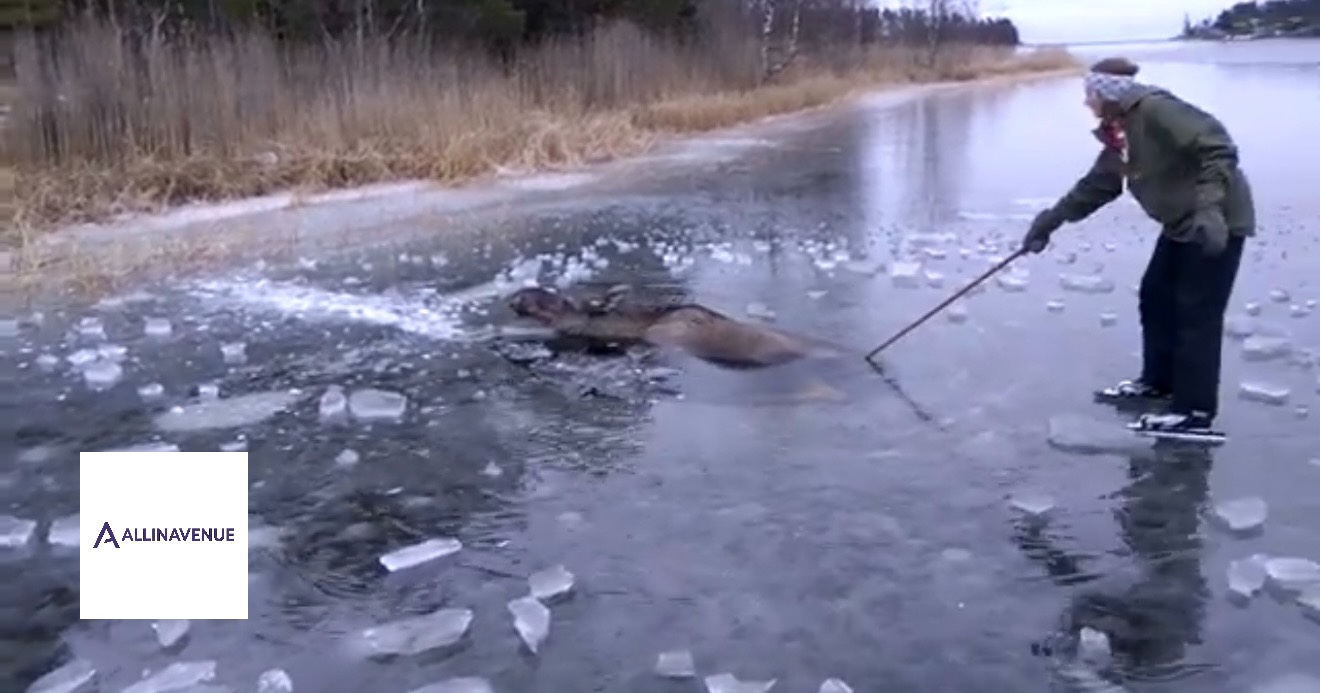 He Was Just Skating… Until He Saw Something Moving Under the Ice…Video