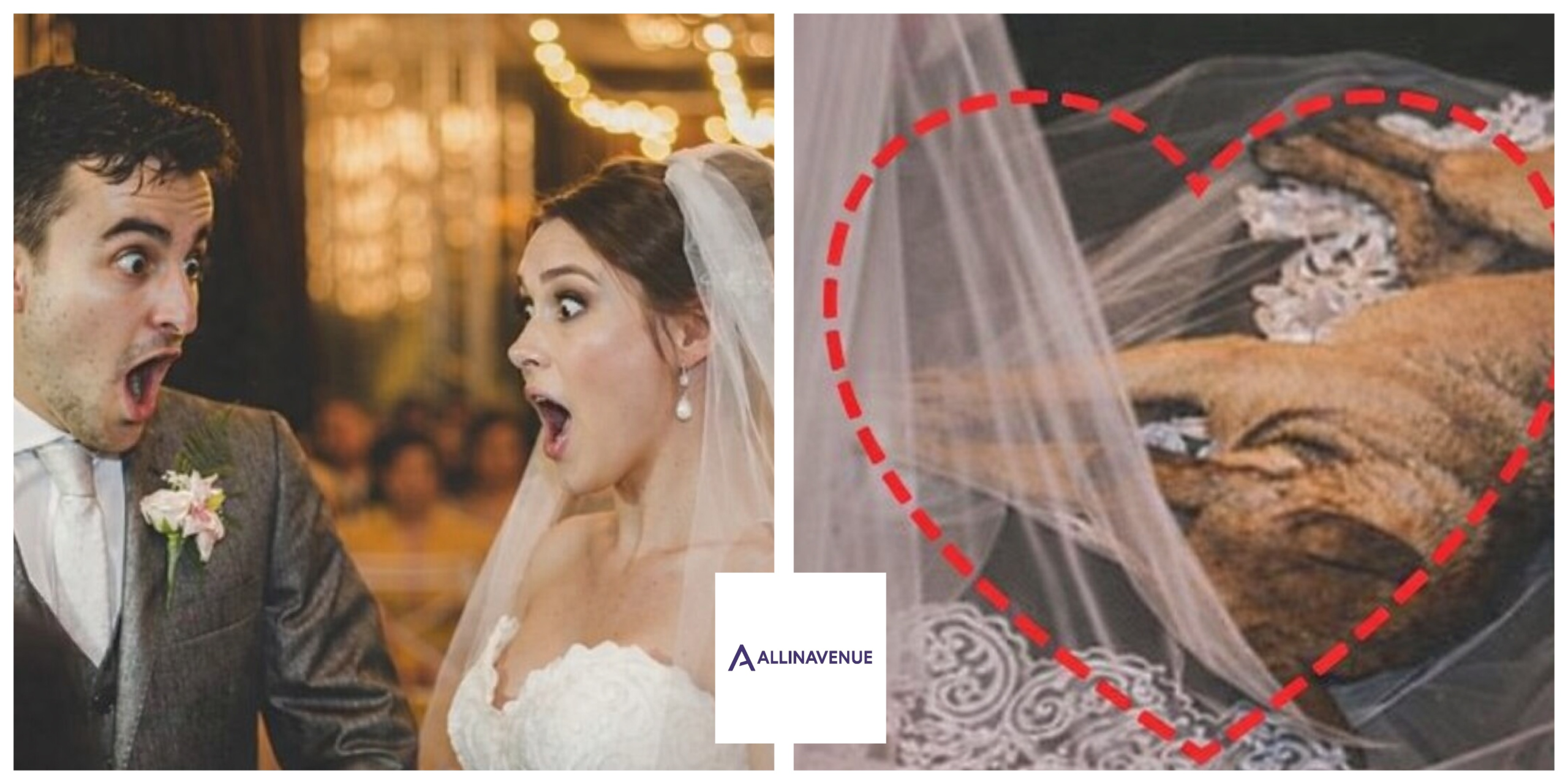 This stray dog crashed a wedding in the middle of the ceremony… the ending gave everyone goosebumps!!!