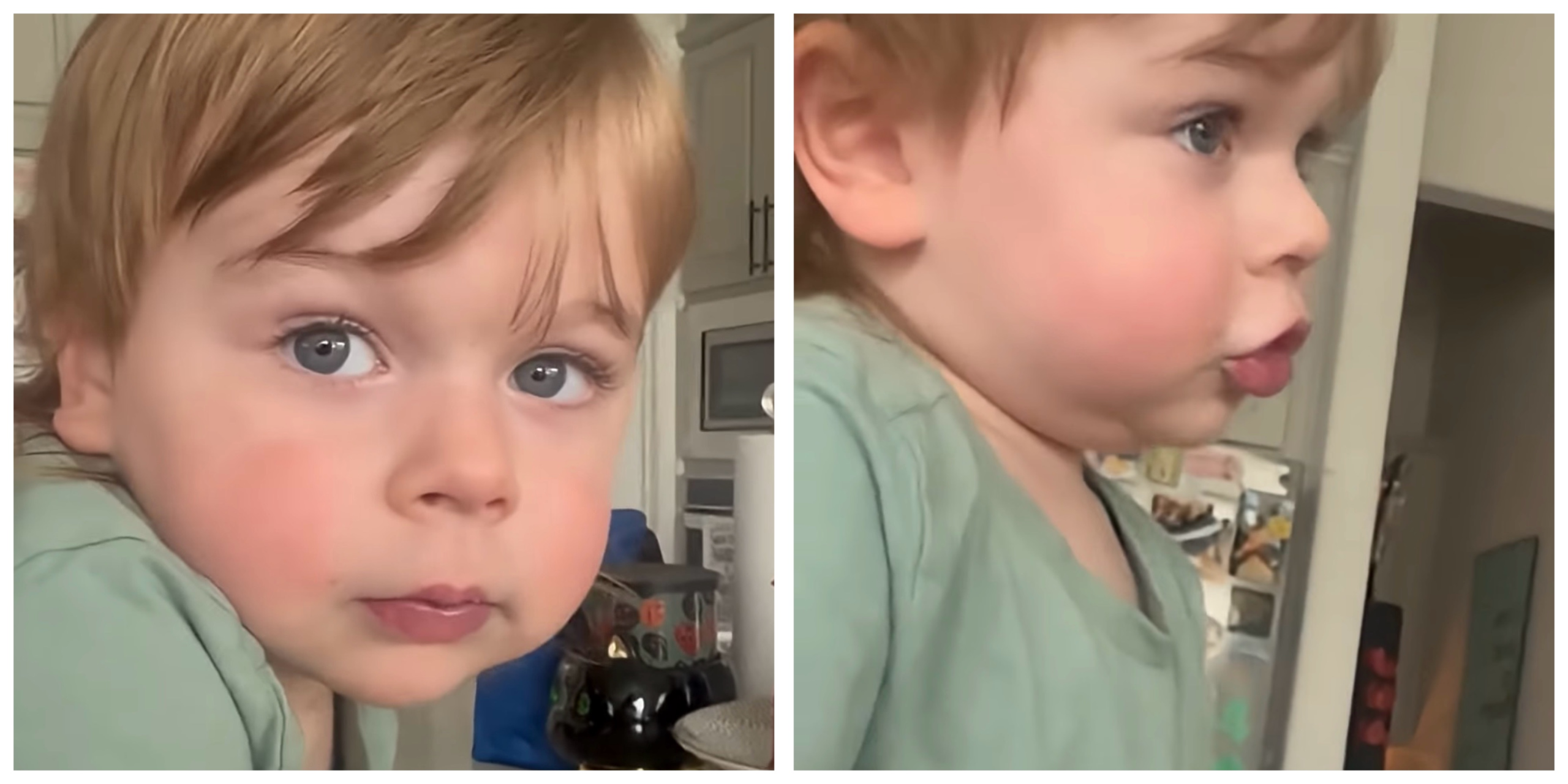 This Kid’s Brutally Honest Answer About a Tissue Has Everyone Laughing.