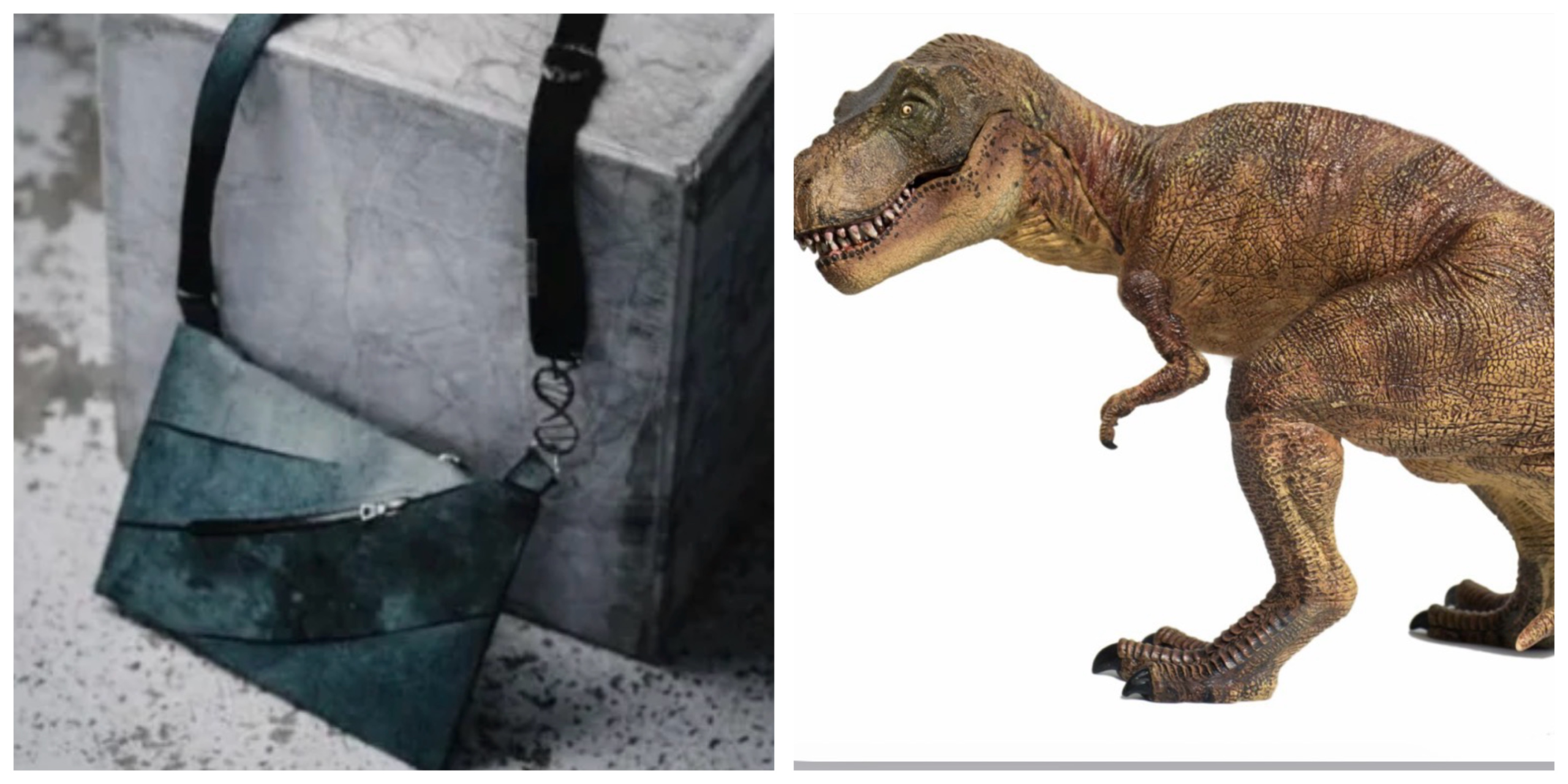 Scientists Create First Leather from T-Rex DNA. Luxury Bag Sells for $670,000