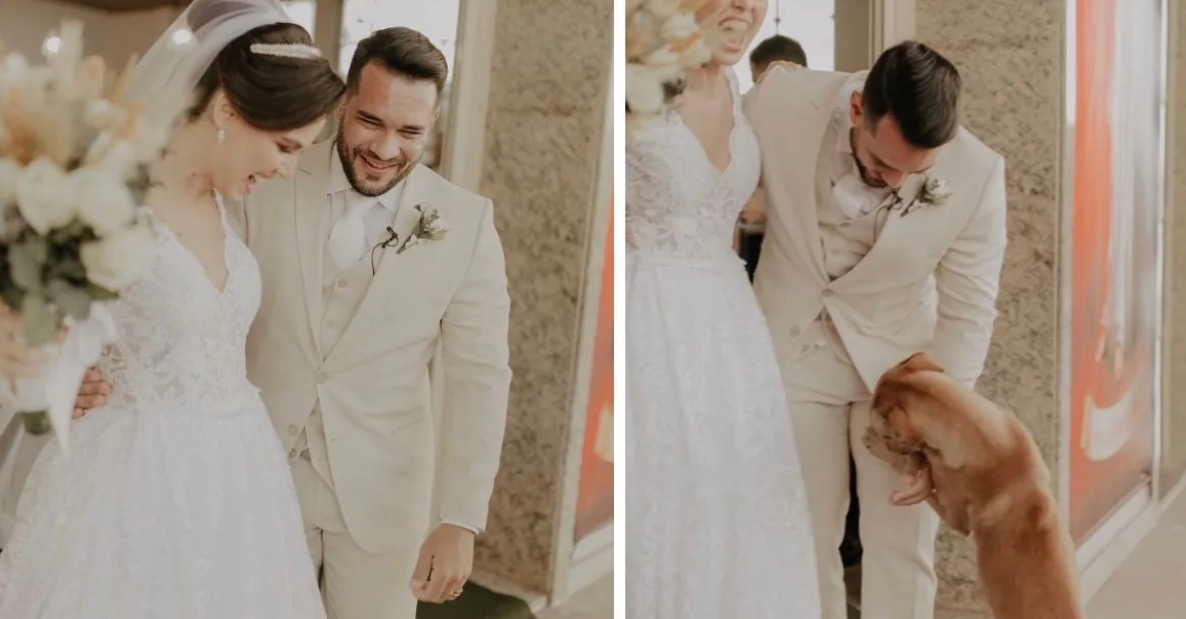 Stray Dog Crashes Wedding… What the Bride Did Next Melted Everyone’s Heart…