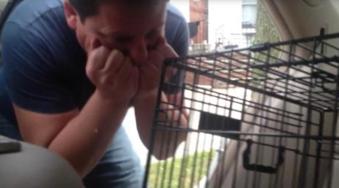 He Thought He Was Helping With Groceries… Then He Saw What Was in the Back Seat…