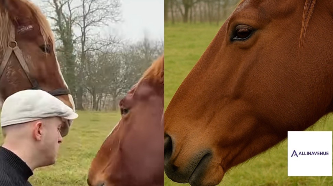 La reacción de los animales ante la música del hombre fue simplemente dulce y llena de emoción.
