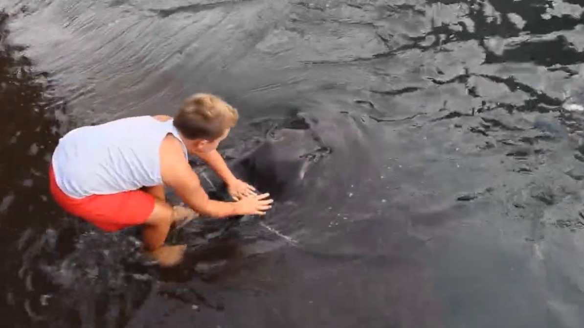 Little Boy Forms Unbelievable Bond With Wild Ocean Creature