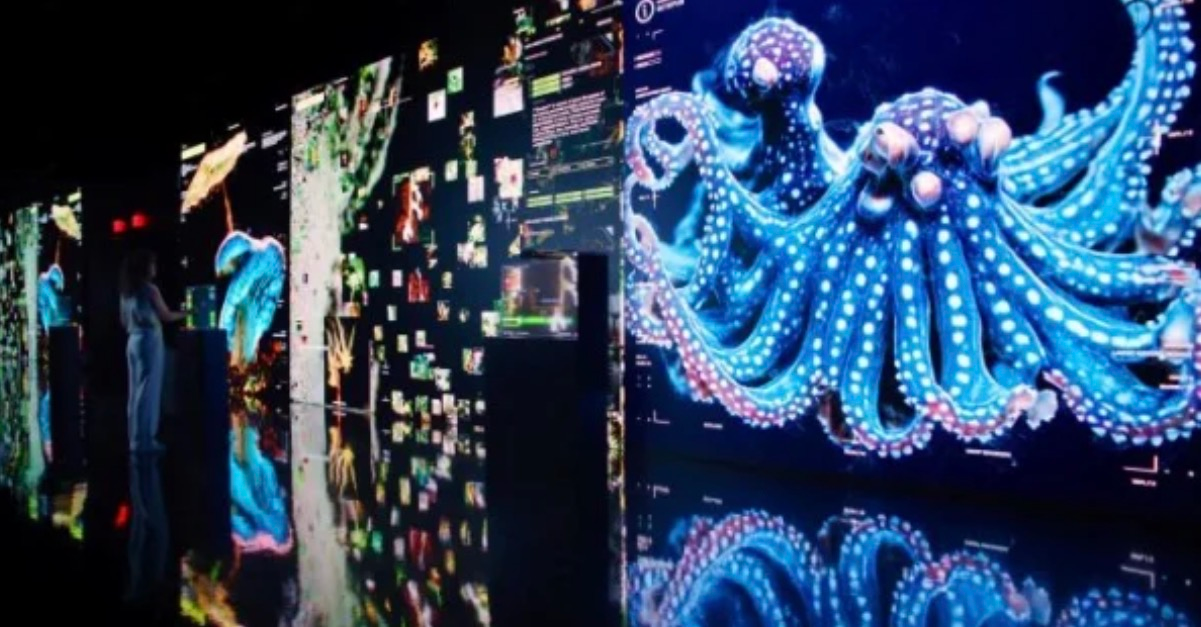 Los Angeles Opens Futuristic AI Museum That Feels Like Stepping Into Another World